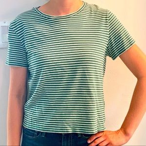 Everlane Green Stripe T-Shirt